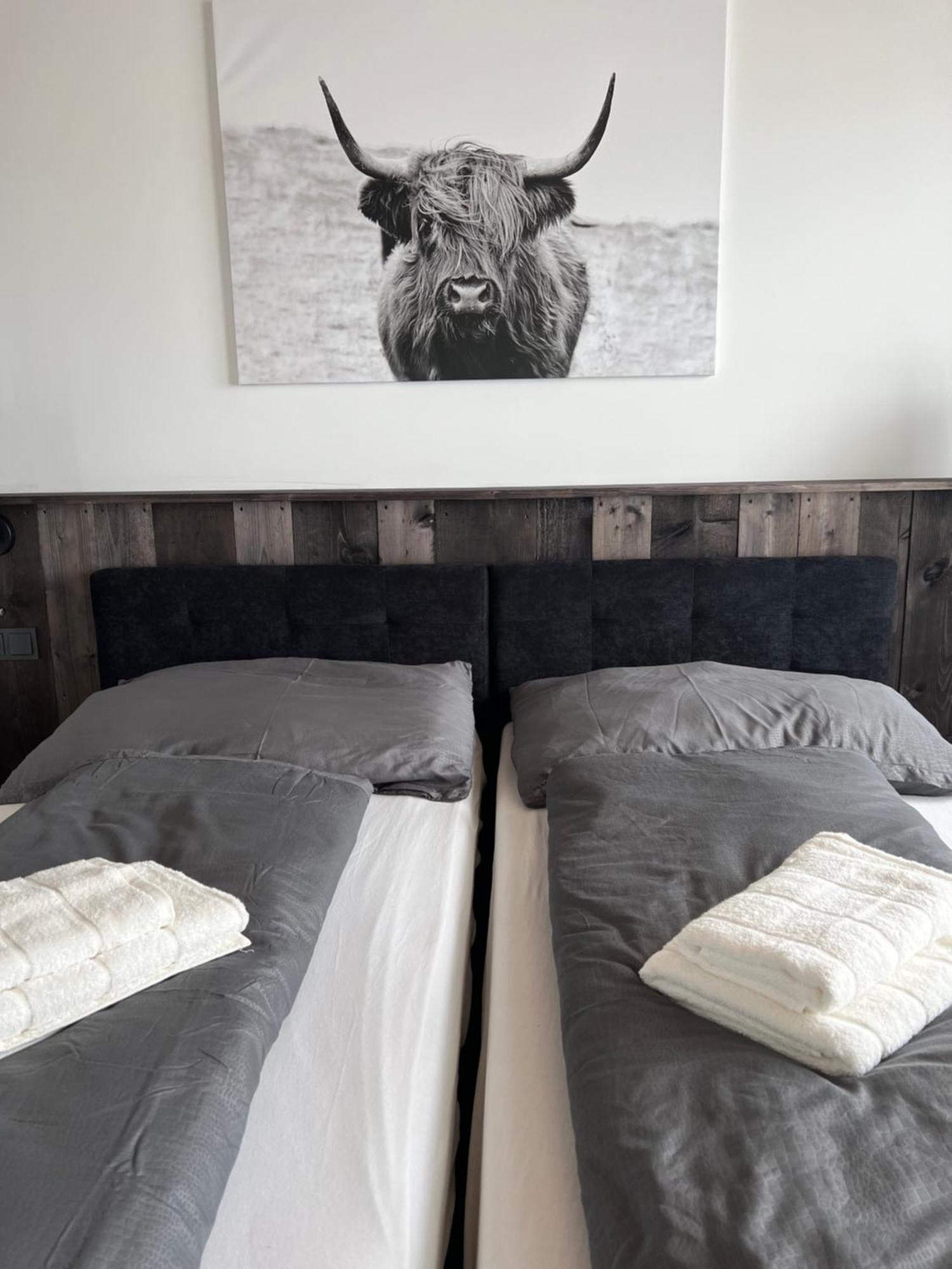 Ferienwohnung Ueber Den Daechern Von Bregencja Zewnętrze zdjęcie
